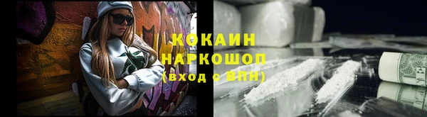 хмурый Алзамай
