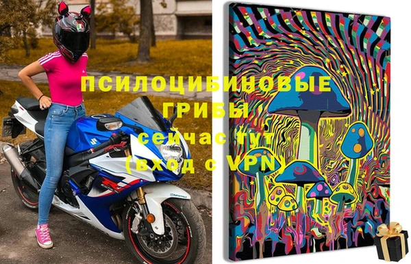 хмурый Алзамай