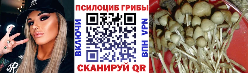 МЕГА сайт  Можга  Псилоцибиновые грибы мицелий 